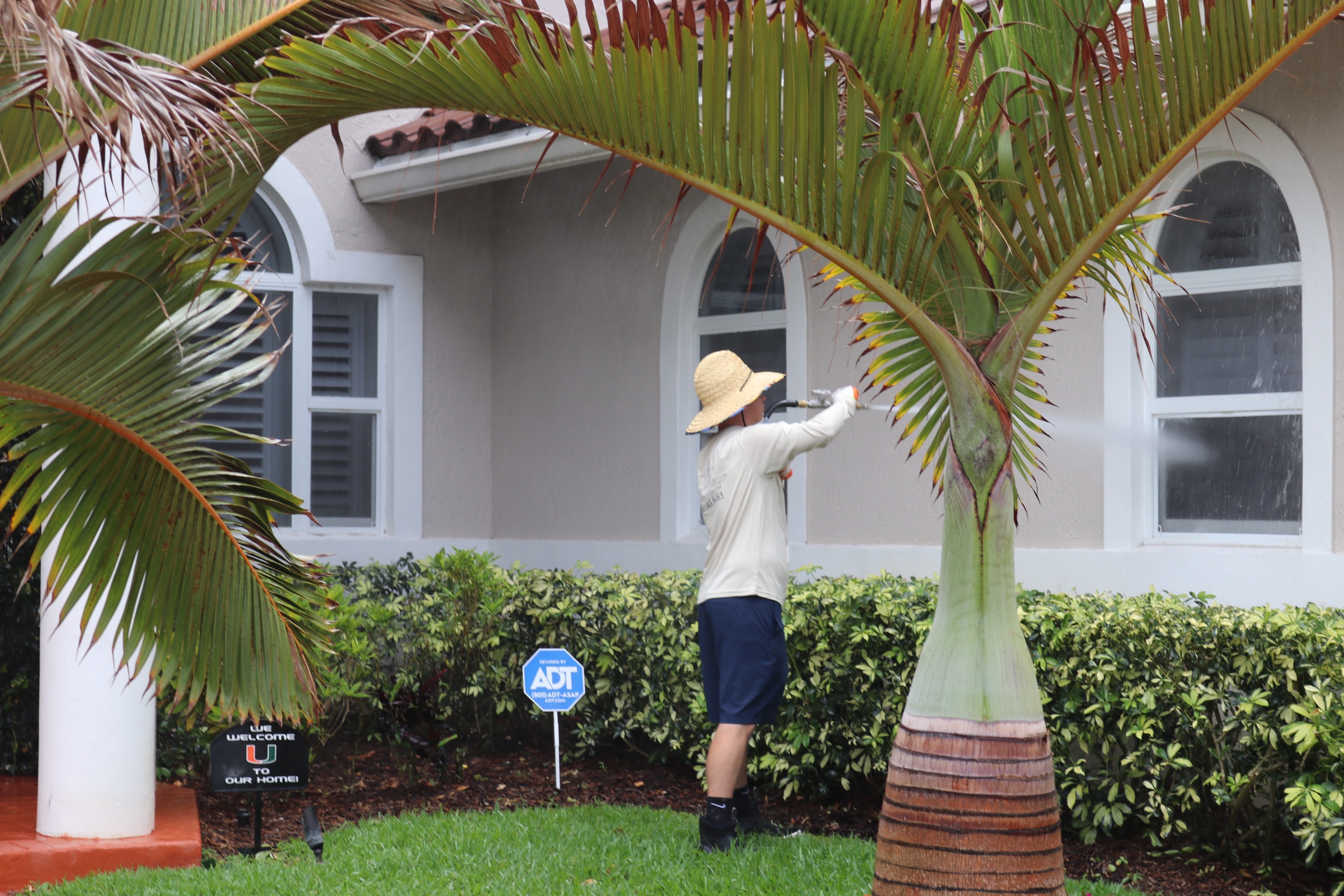 Building soft wash exterior cleaning service