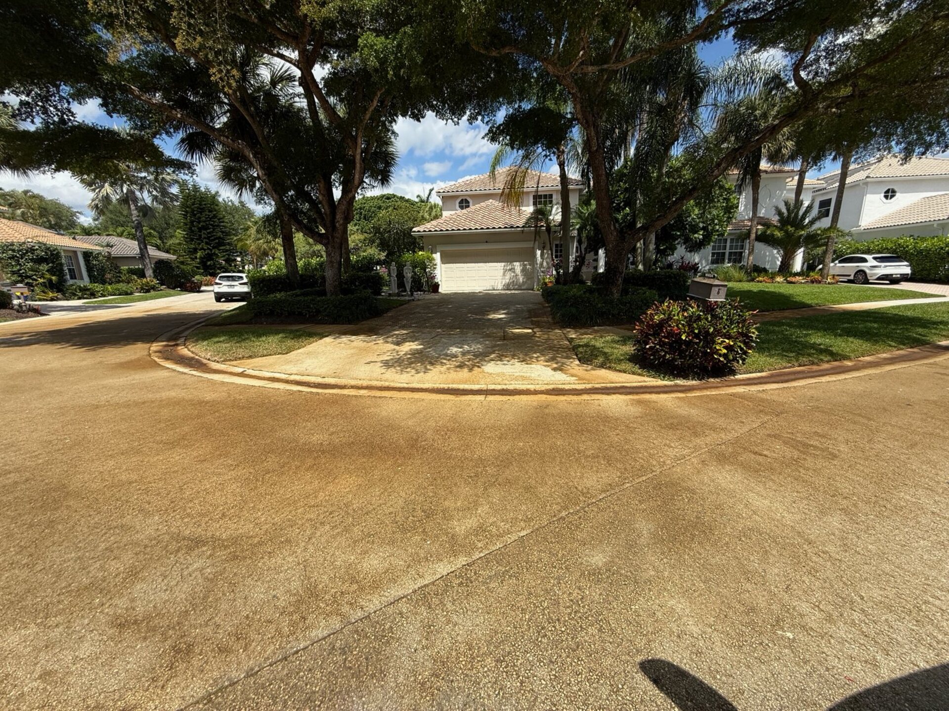Driveway showing tannin stain restoration — clean treated surface against still-stained surrounding pavement