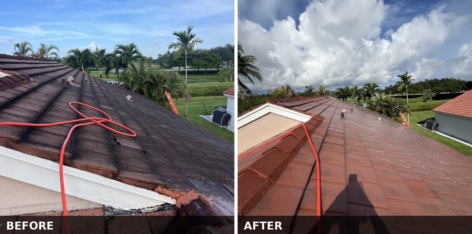 Tile roof slope before and after soft wash, both states shown in one image - algae-darkened tiles on the left, restored terracotta colour on the right
