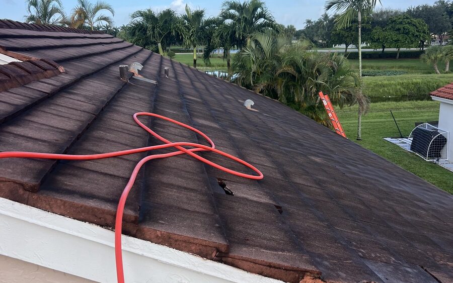 Tile roof before soft wash - algae and organic darkening across the tiles