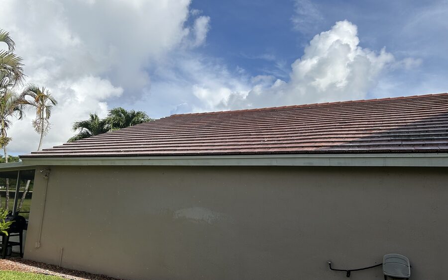 Tile roof side slope before soft wash - organic staining across the tiles
