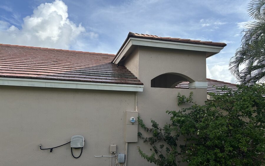 Tile roof gable before soft wash - staining with vine growth at the wall