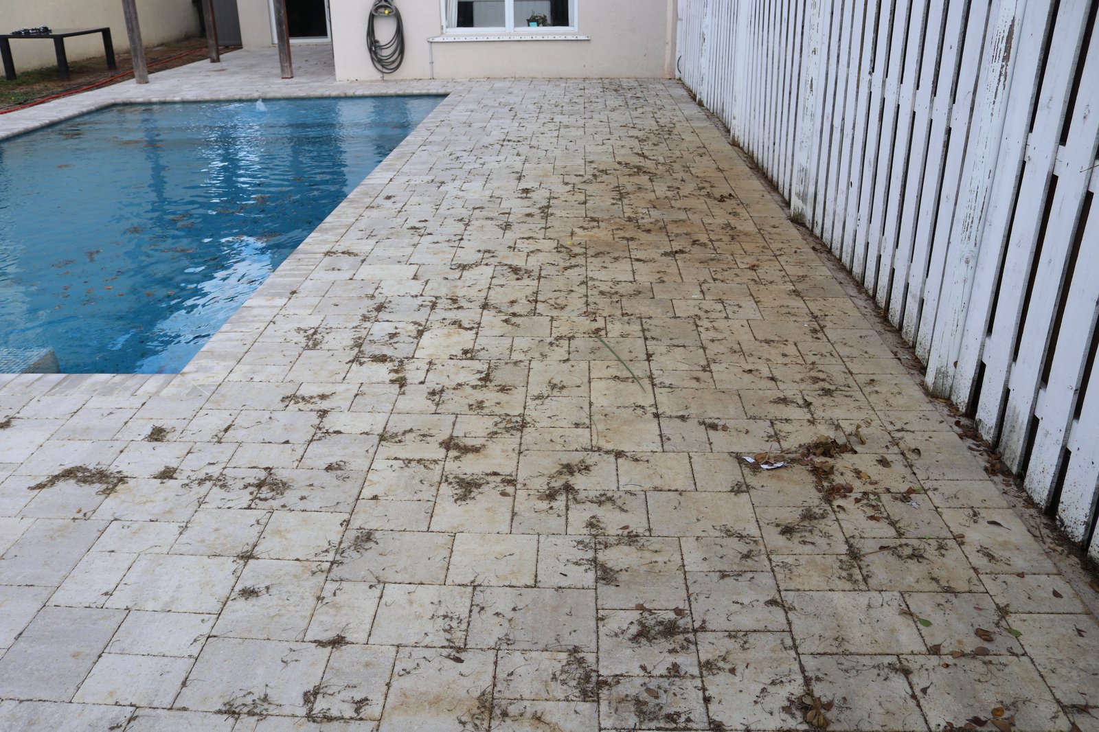 Pool deck pavers before tannin removal — staining and debris