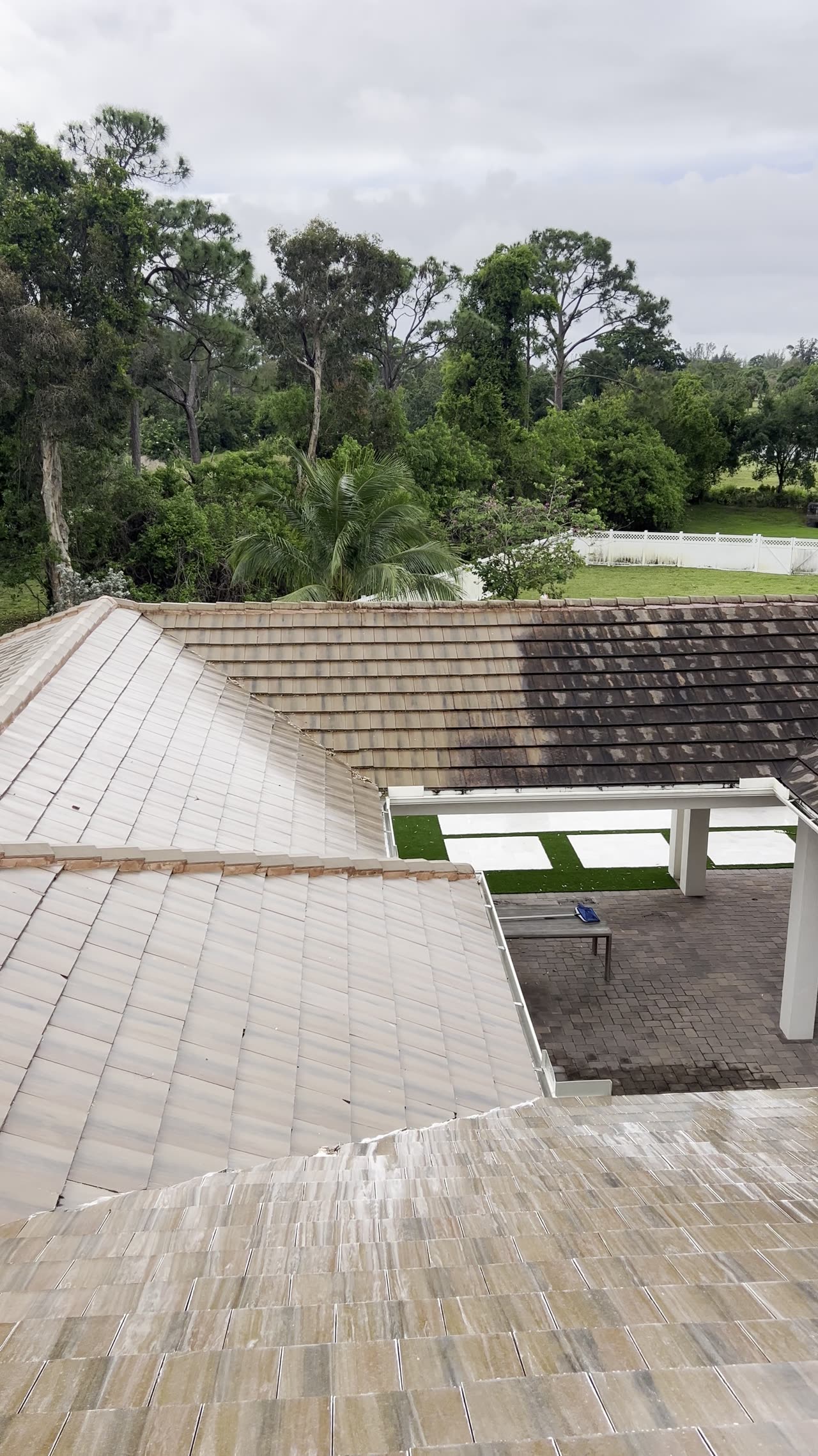 Tile roof close-up after soft wash treatment