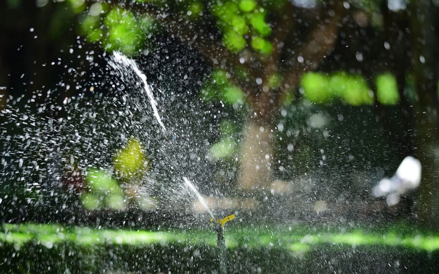 Lawn sprinkler spraying water in front of green trees and shrubs