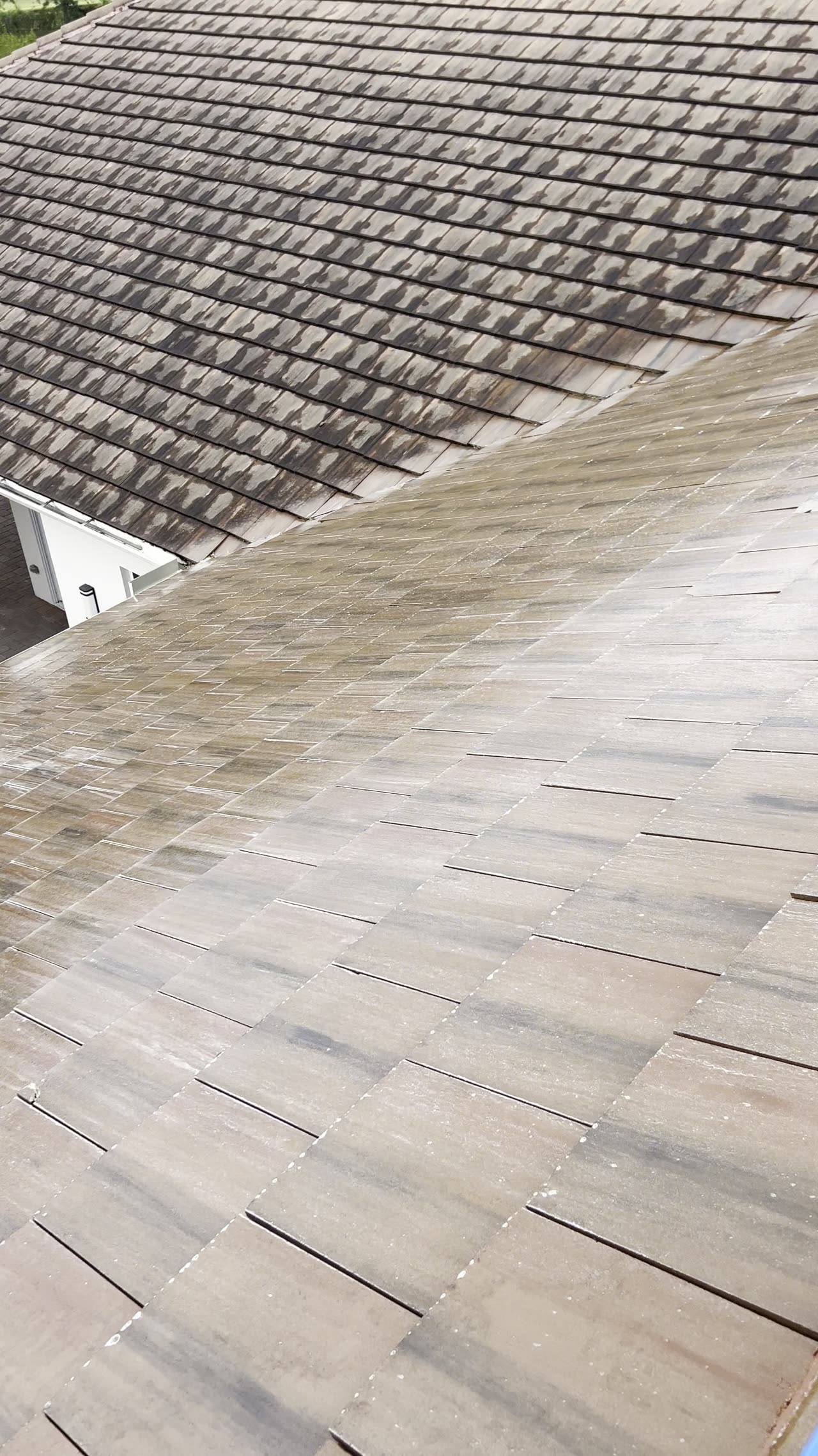 Tile roof tannin removal in progress